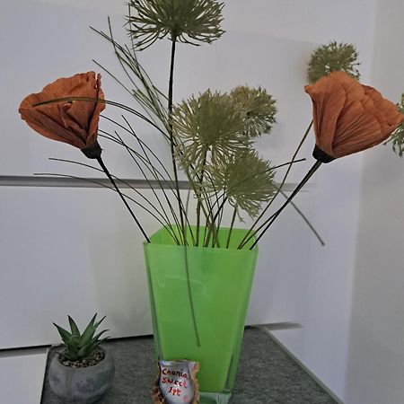 Chania Sweet Apts المظهر الخارجي الصورة